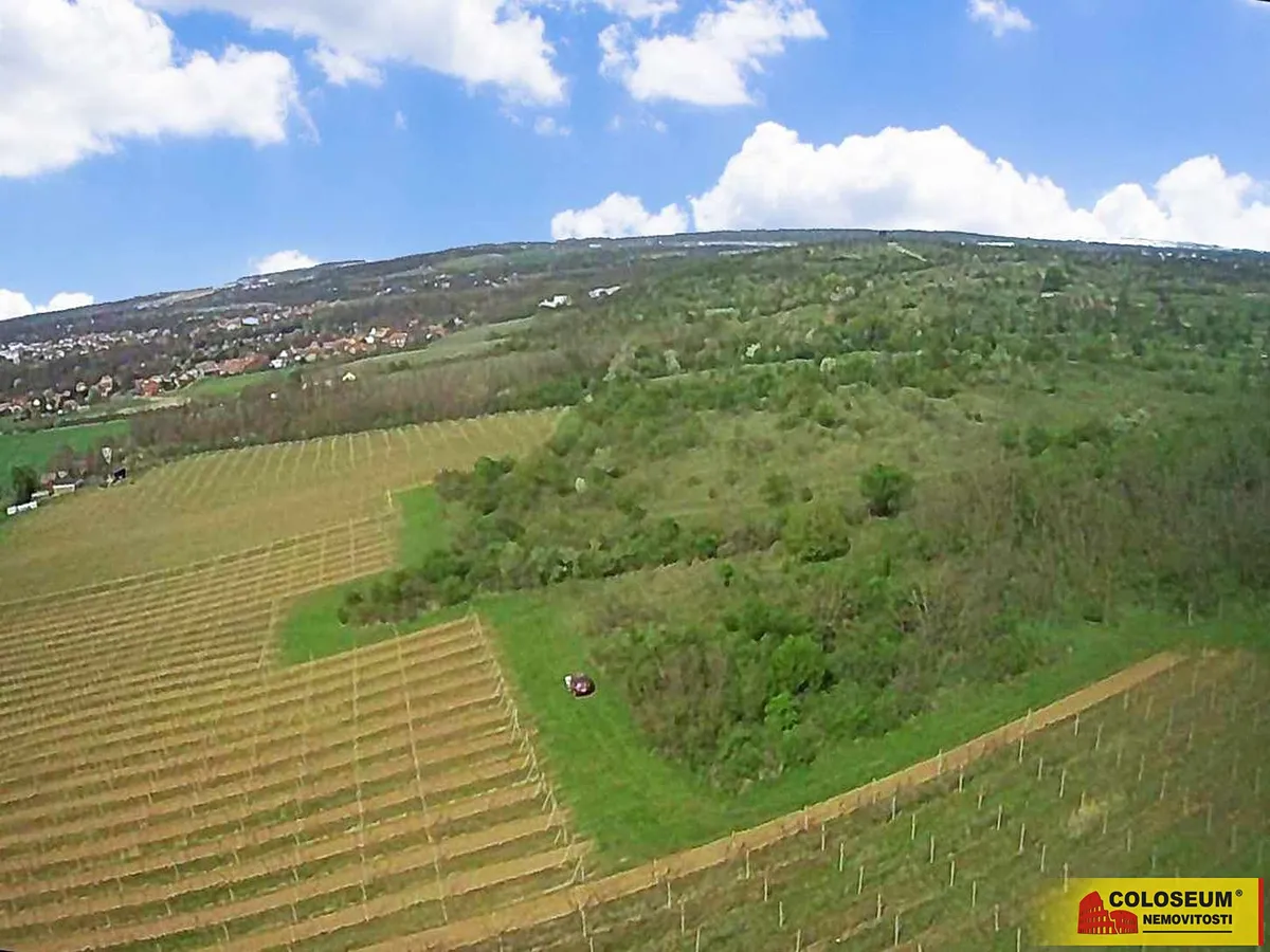 Prodej pozemku 16843 m²